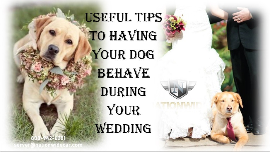 Great Ways to Incorporate Your Pet into Your Wedding